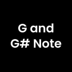 G and G# Note